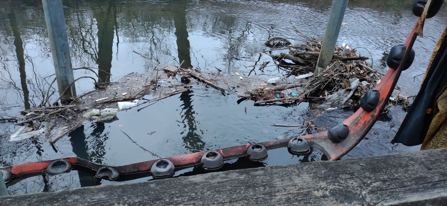 Documenting the Litter Problem