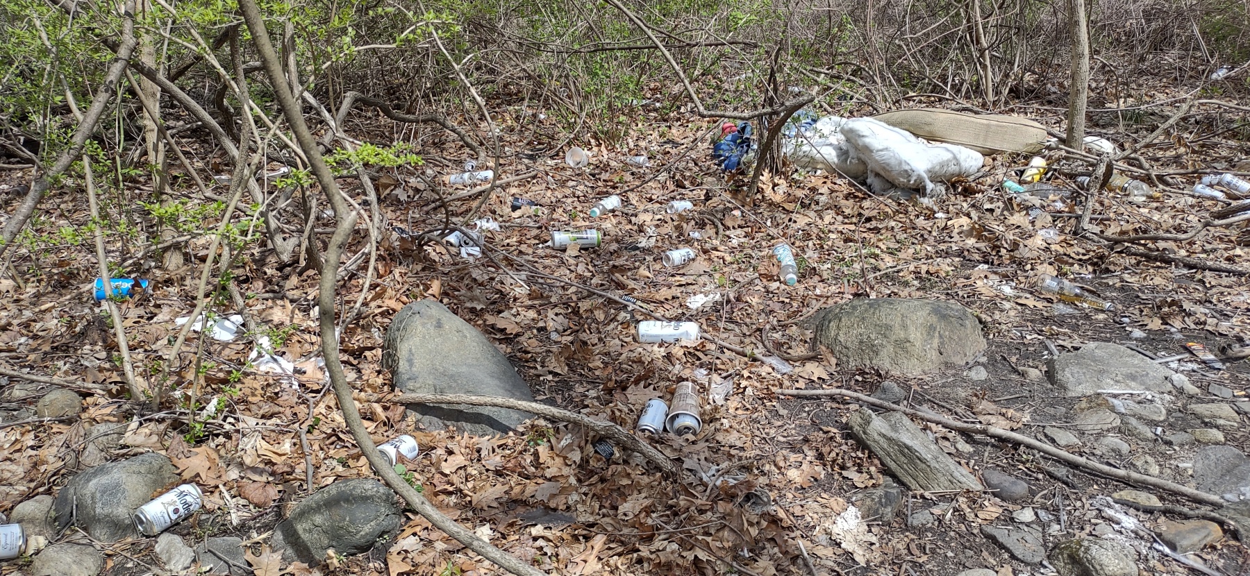 Documenting the Litter Problem